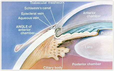 Open Angle Glaucoma Treatment Detroit